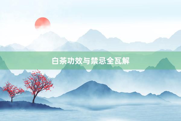 白茶功效与禁忌全瓦解