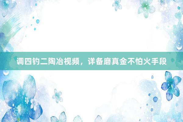 调四钓二陶冶视频，详备磨真金不怕火手段